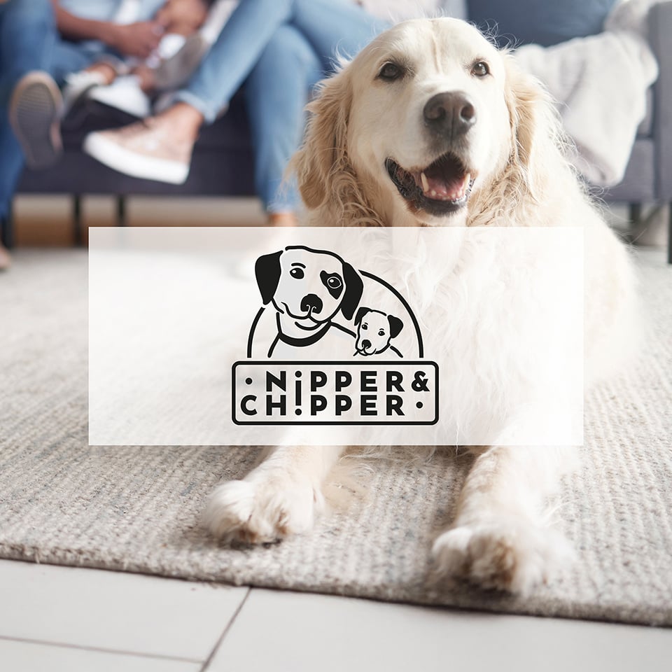 TILE_NIPPER-CHIPPER@x0.5